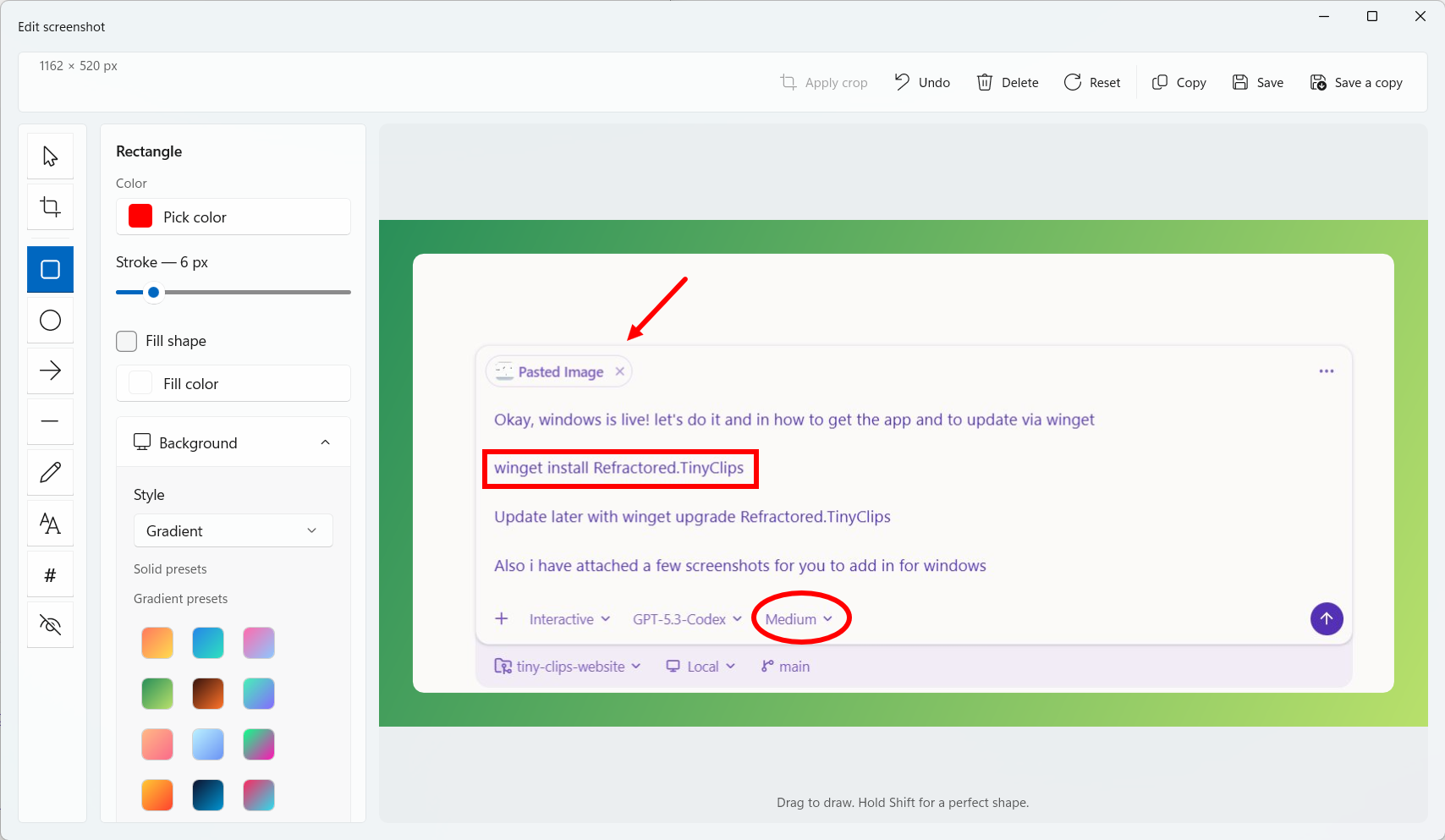 Tiny Clips on Windows screenshot editing interface with shape and annotation tools